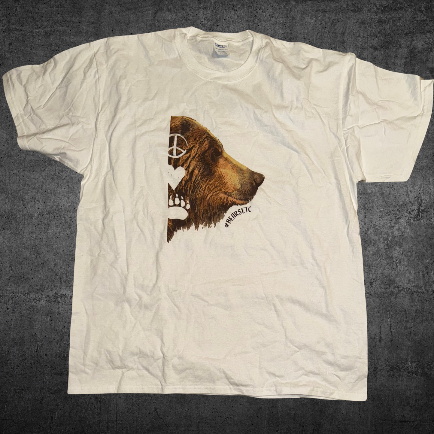 Brown Bear - 8 Species of the World