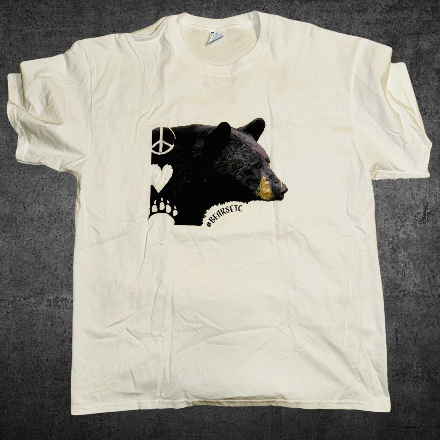 North American Black Bear - 8 Species of the World