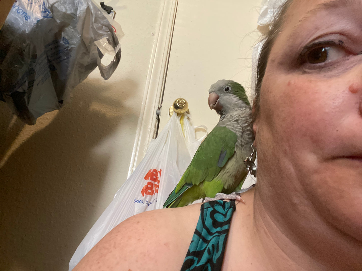 Hei Hei the Quaker Parrot Sponsorship