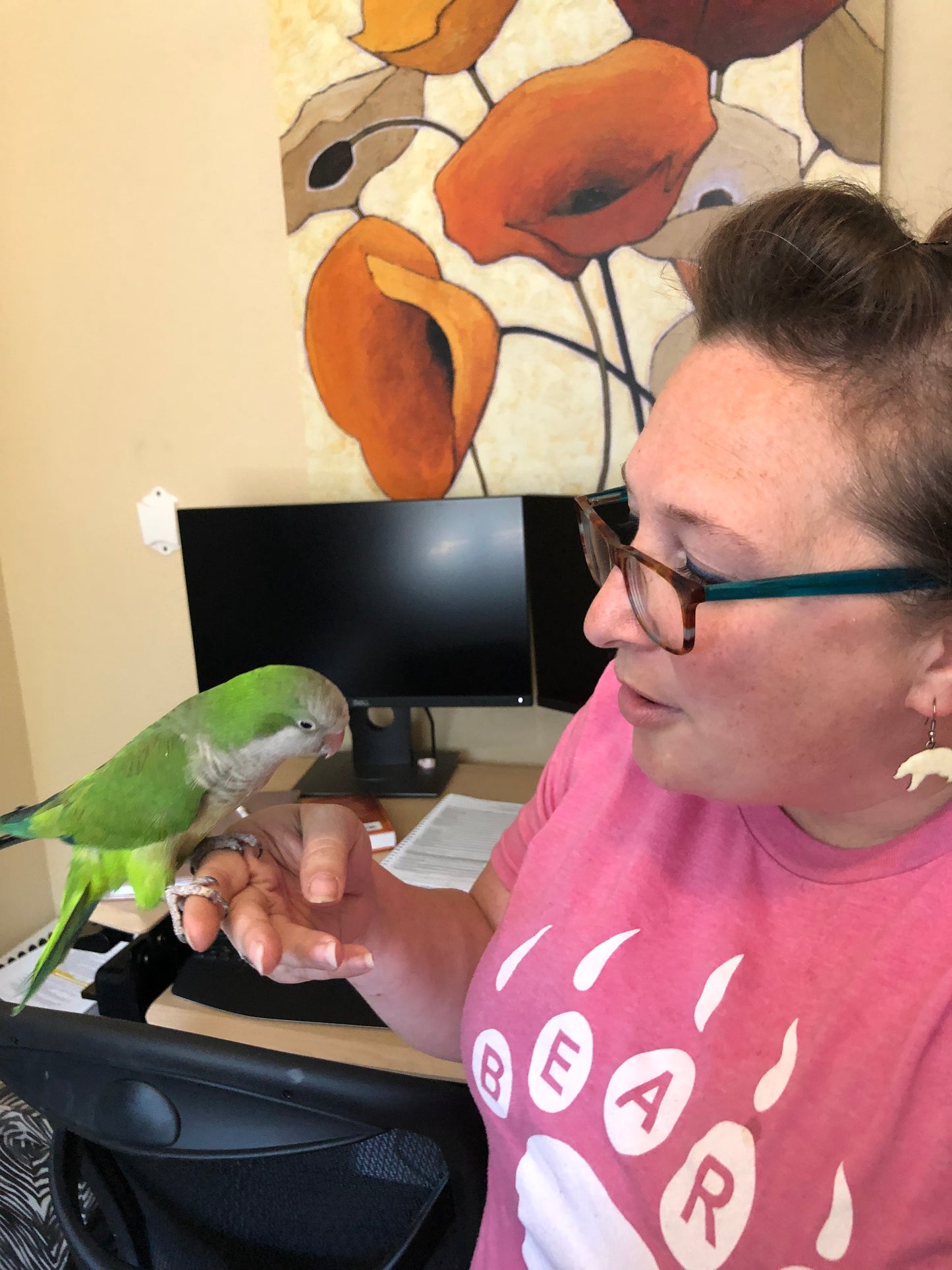 Hei Hei the Quaker Parrot Sponsorship