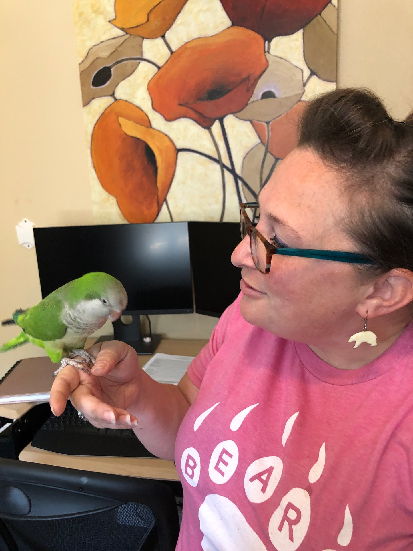 Hei Hei the Quaker Parrot Sponsorship
