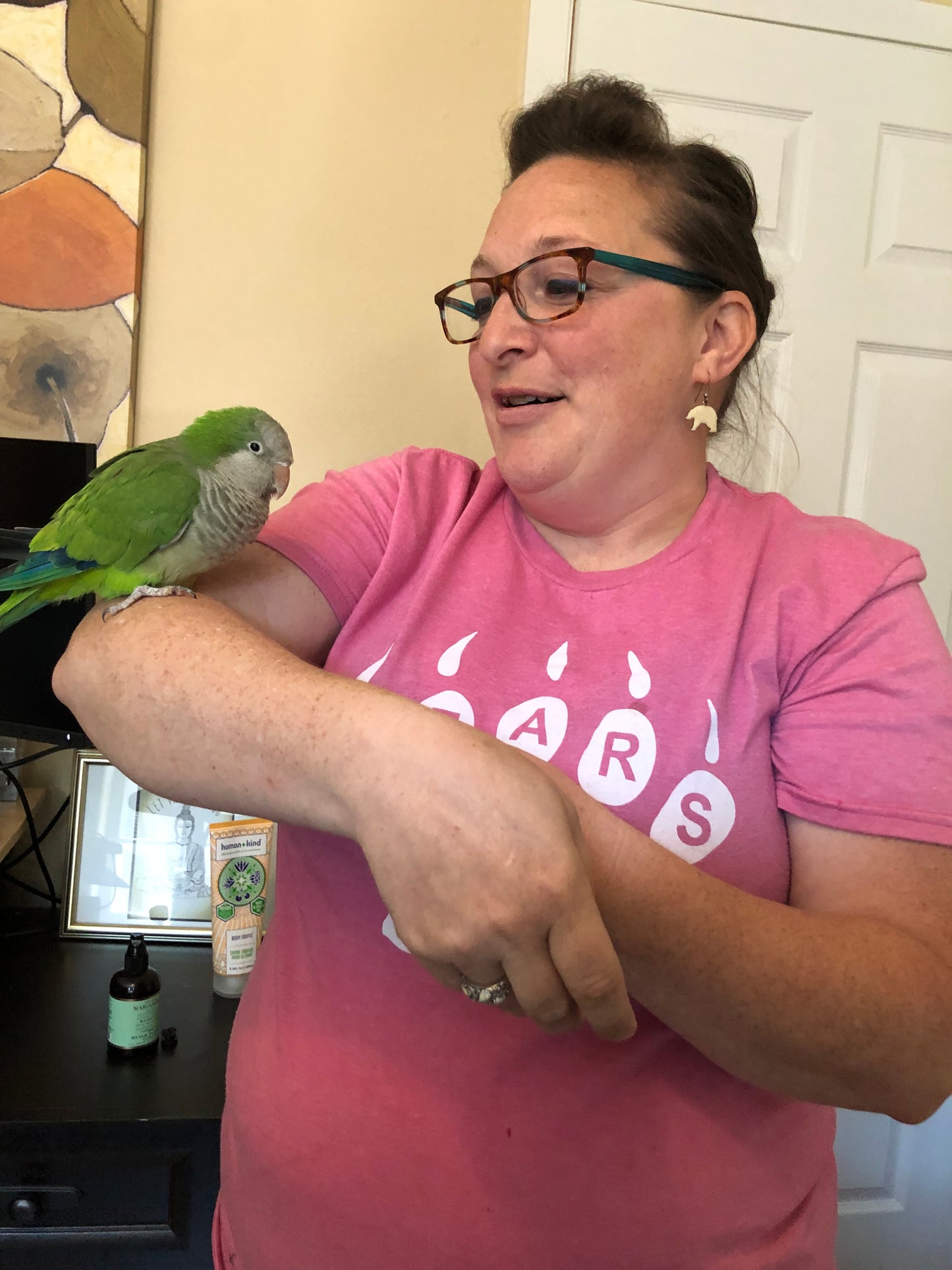 Hei Hei the Quaker Parrot Sponsorship